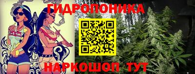 дживик Ставрополь