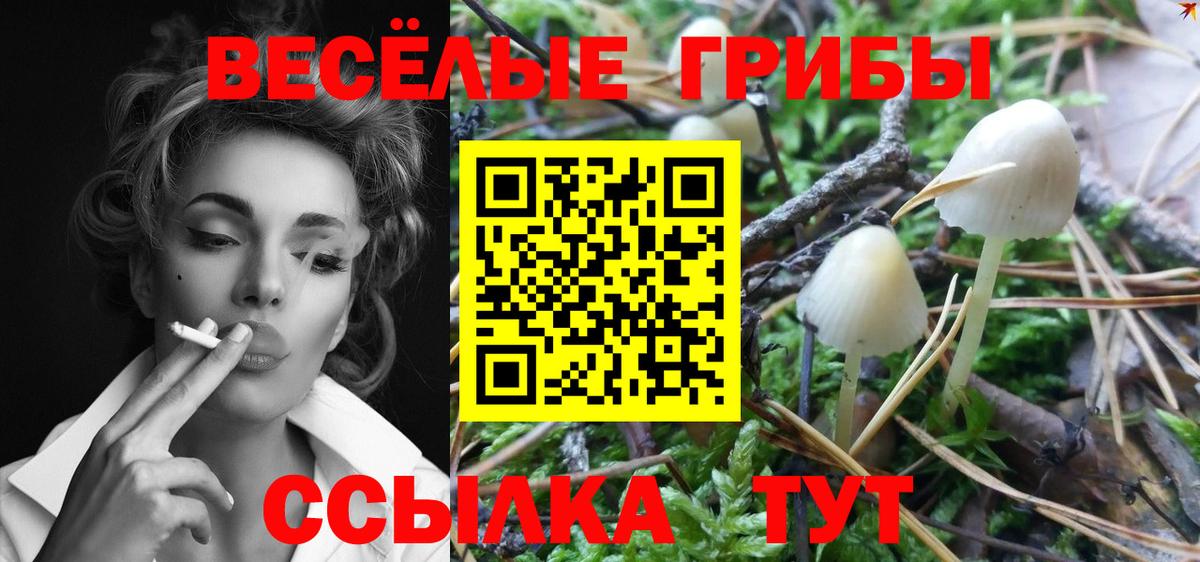 Галлюциногенные грибы прущие грибы Моздок